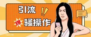 最新引流骚操作，单账号日引50-100，简单粗暴，适合于小白各行各业都可以进行操作，精准粉丝加到爆-瀚海资源库