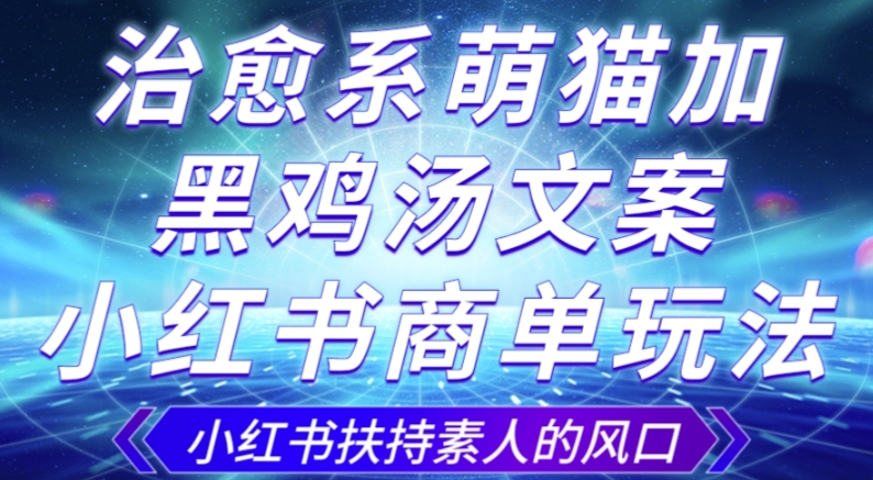 治愈系萌猫加+黑鸡汤文案，小红书商单玩法，3~10天涨到1000粉，一单200左右-瀚海资源库