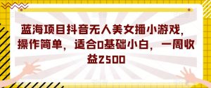 蓝海项目抖音无人美女播小游戏，操作简单，适合0基础小白，一周收益2500【揭秘】-瀚海资源库