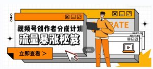 一条视频收益3000+，一条作品涨粉2000+，视频号流量爆炸·的秘籍-瀚海资源库