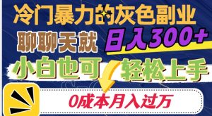 冷门暴利的副业项目，聊聊天就能日入300+，0成本月入过万【揭秘】-瀚海资源库