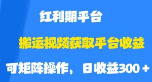 搬运视频获取平台收益，平台红利期，附保姆级教程【揭秘】-瀚海资源库