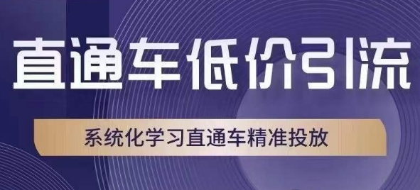 直通车低价引流课，系统化学习直通车精准投放-瀚海资源库