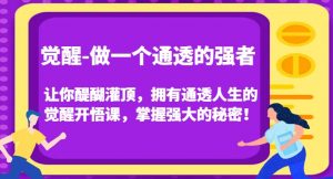 觉醒-做一个通透的强者,让你醍醐灌顶,拥有通透人生的觉醒开悟课,掌握强大的秘密!-瀚海资源库
