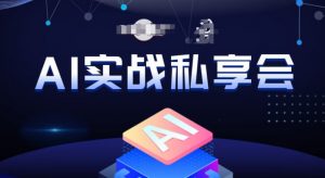 AI实战私享会，各种ai变现玩法，AI变现思路-瀚海资源库