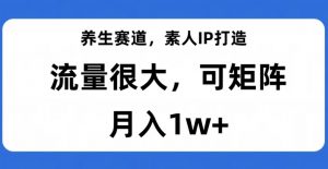养生赛道,素人IP打造,流量很大,可矩阵,月入1w+【揭秘】-瀚海资源库