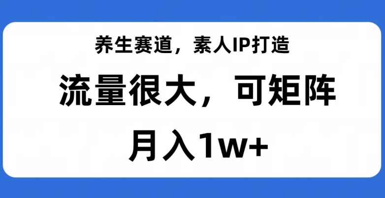 养生赛道，素人IP打造，流量很大，可矩阵，月入1w+【揭秘】-瀚海资源库