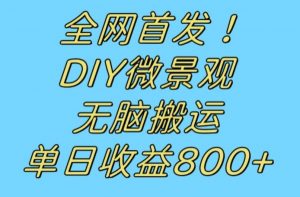 全网首发冷门赛道！DIY微景观，无脑搬运视频，日收益800+【揭秘】-瀚海资源库