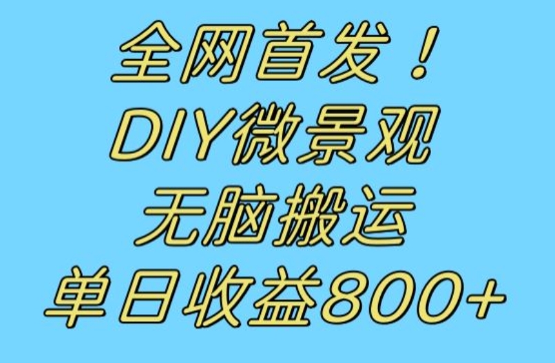 全网首发冷门赛道！DIY微景观，无脑搬运视频，日收益800+【揭秘】-瀚海资源库