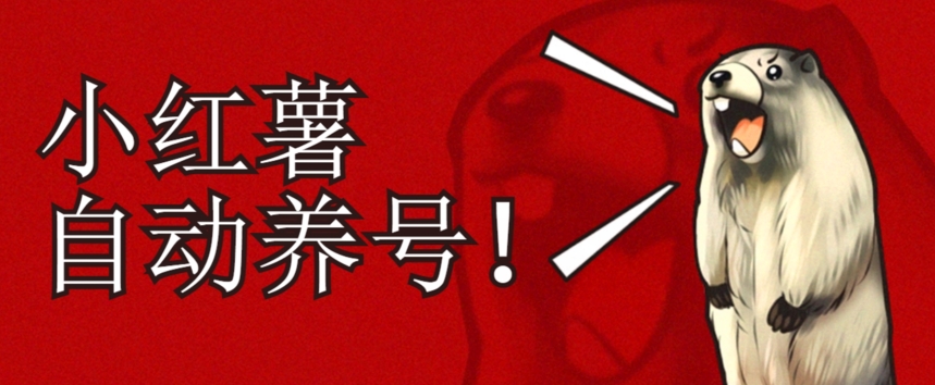 小红书养号秘籍，如何自动涨粉清晰系统标签打造高权重账号【揭秘】-瀚海资源库