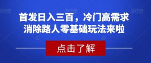 首发日入三百，冷门高需求消除路人零基础玩法来啦【揭秘】-瀚海资源库