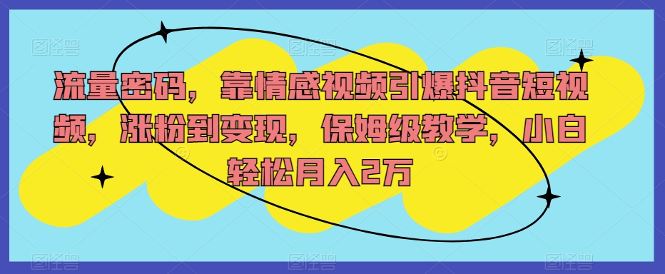 流量密码，靠情感视频引爆抖音短视频，涨粉到变现，保姆级教学，小白轻松月入2万【揭秘】-瀚海资源库