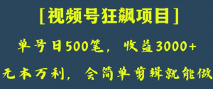 日收款500笔，纯利润3000+，视频号狂飙项目，会简单剪辑就能做【揭秘】-瀚海资源库