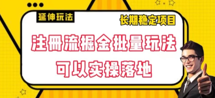 注册流掘金批量玩法，可以实操落地【揭秘】-瀚海资源库