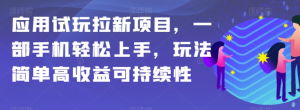 应用试玩拉新项目,一部手机轻松上手,玩法简单高收益可持续性【揭秘】-瀚海资源库