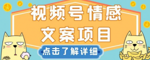 视频号情感文案项目，简单操作，新手小白轻松上手日入200+【揭秘】-瀚海资源库