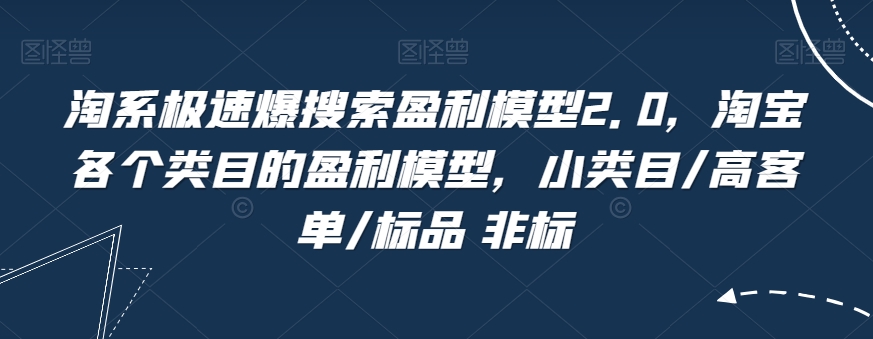 淘系极速爆搜索盈利模型2.0，淘宝各个类目的盈利模型，小类目/高客单/标品 非标-瀚海资源库