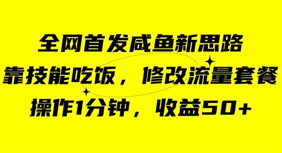 咸鱼冷门新玩法，靠“技能吃饭”，修改流量套餐，操作1分钟，收益50【揭秘】-瀚海资源库
