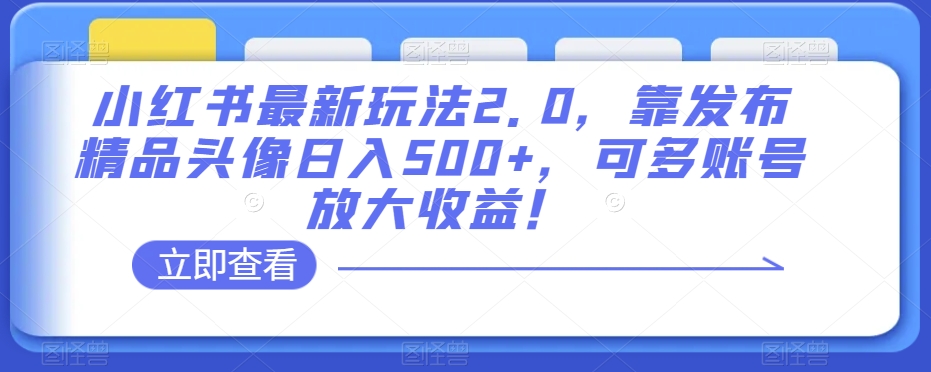 小红书最新玩法2.0，靠发布精品头像日入500+，可多账号放大收益！【揭秘】-瀚海资源库