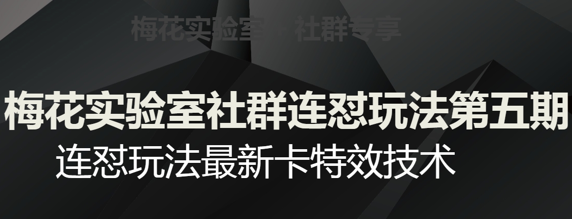 梅花实验室社群连怼玩法第五期，视频号连怼玩法最新卡特效技术-瀚海资源库