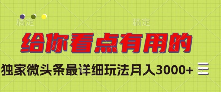 独家微头条最详细玩法，月入3000+【揭秘】-瀚海资源库