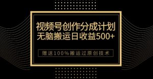 最新视频号创作分成计划,无脑搬运一天收益500+,100%搬运过原创技巧【揭秘】-瀚海资源库