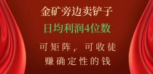 金矿旁边卖铲子，赚确定性的钱，可矩阵，可收徒，日均利润4位数【揭秘】-瀚海资源库