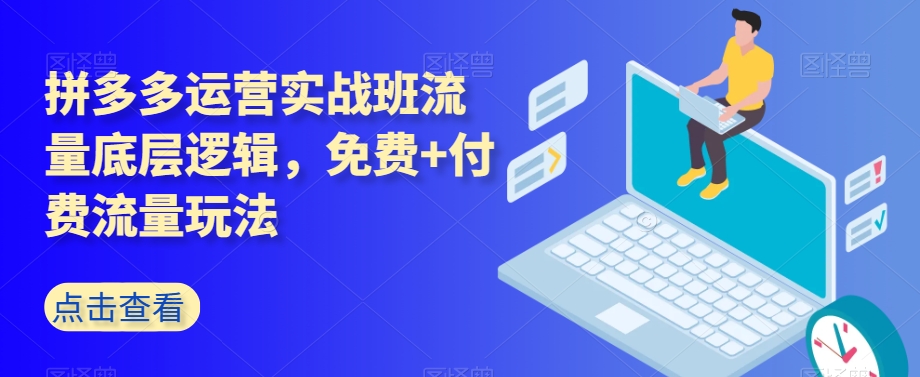 拼多多运营实战班流量底层逻辑，免费+付费流量玩法-瀚海资源库