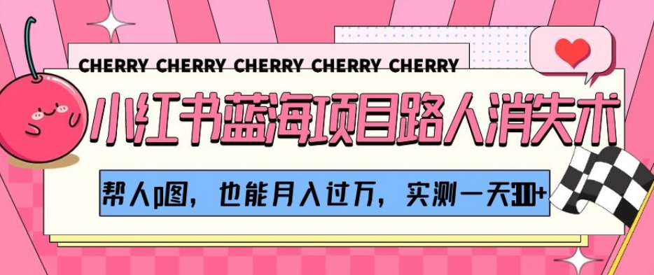 小红书蓝海项目路人消失术，帮人p图，也能月入过万，实测一天300+【揭秘】-瀚海资源库