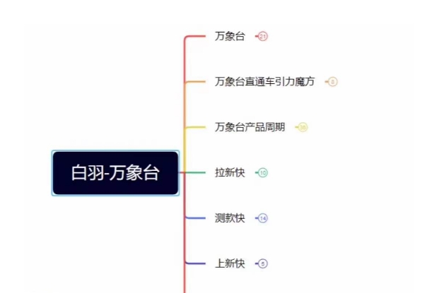白羽·直引万搜索全篇，从0-1，多个类目实操经验总结付费-瀚海资源库