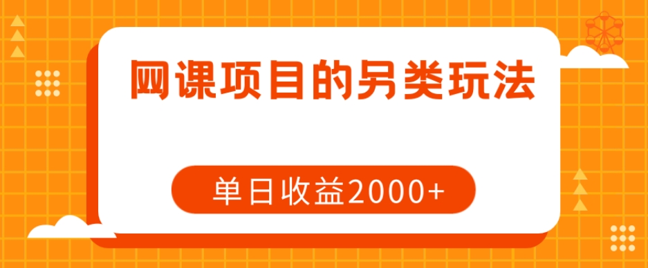 网课项目的另类玩法，单日收益2000+【揭秘】-瀚海资源库
