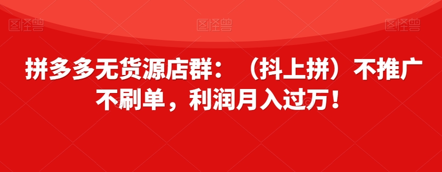 拼多多无货源店群：（抖上拼）不推广不刷单，利润月入过万！【揭秘】-瀚海资源库