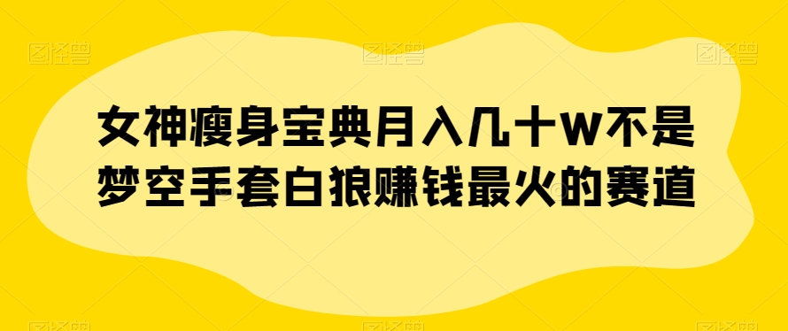 女神瘦身宝典月入几十W不是梦空手套白狼赚钱最火的赛道【揭秘】-瀚海资源库