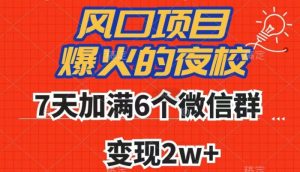 全网首发，爆火的夜校，7天加满6个微信群，变现2w+【揭秘】-瀚海资源库