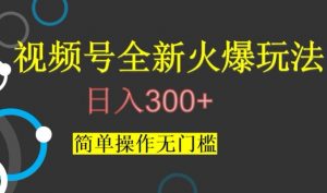 视频号最新爆火玩法，日入300+，简单操作无门槛【揭秘】-瀚海资源库