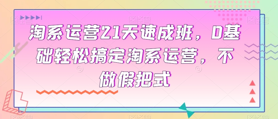 淘系运营21天速成班，0基础轻松搞定淘系运营，不做假把式-瀚海资源库