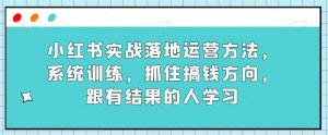 小红书实战落地运营方法，系统训练，抓住搞钱方向，跟有结果的人学习-瀚海资源库