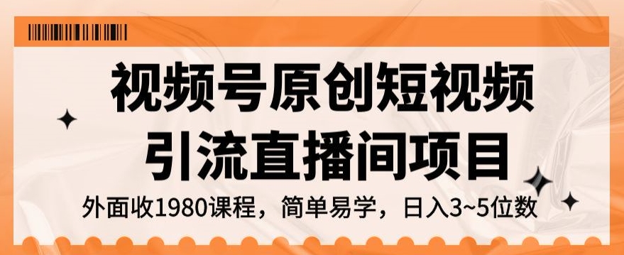 视频号原创短视频引流直播间项目，日入3~5五位数【揭秘】-瀚海资源库