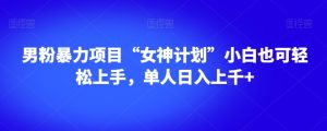 男粉暴力项目“女神计划”小白也可轻松上手,单人日入上千+【揭秘】-瀚海资源库