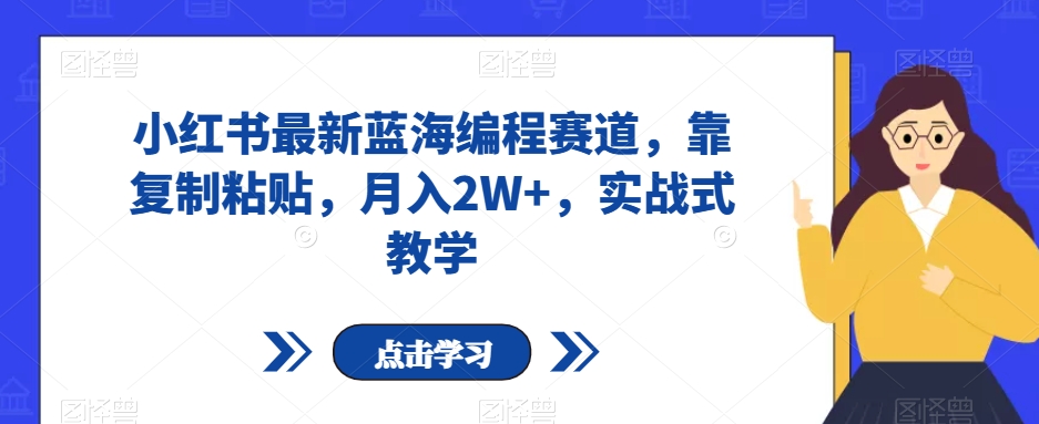 小红书最新蓝海编程赛道，靠复制粘贴，月入2W+，实战式教学【揭秘】-瀚海资源库