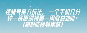 视频号暴力玩法，一个手机几分钟一条原创视频一周收益3800+（附820G视频素材）-瀚海资源库