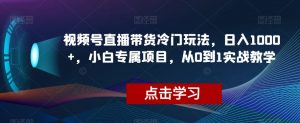 视频号直播带货冷门玩法，日入1000+，小白专属项目，从0到1实战教学【揭秘】-瀚海资源库