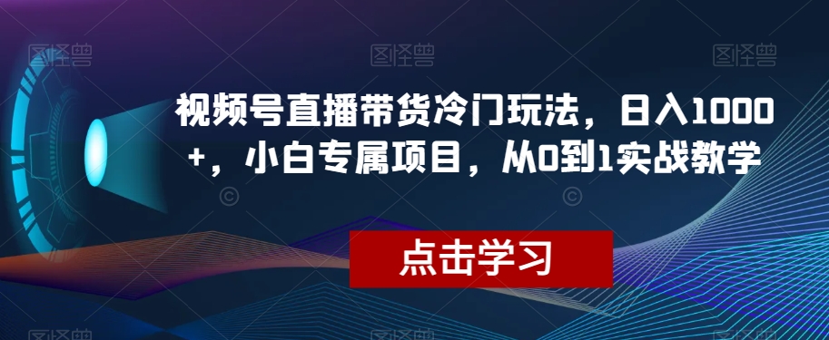 视频号直播带货冷门玩法，日入1000+，小白专属项目，从0到1实战教学【揭秘】-瀚海资源库