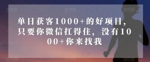 单日获客1000+的好项目，只要你微信扛得住，没有1000+你来找我【揭秘】-瀚海资源库