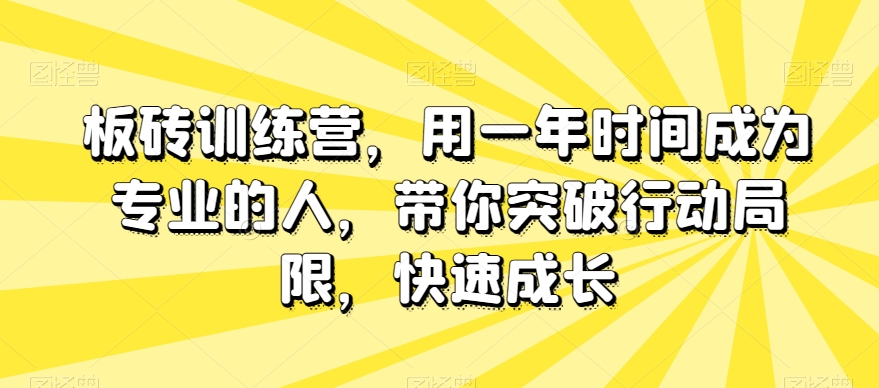 板砖训练营，用一年时间成为专业的人，带你突破行动局限，快速成长-瀚海资源库