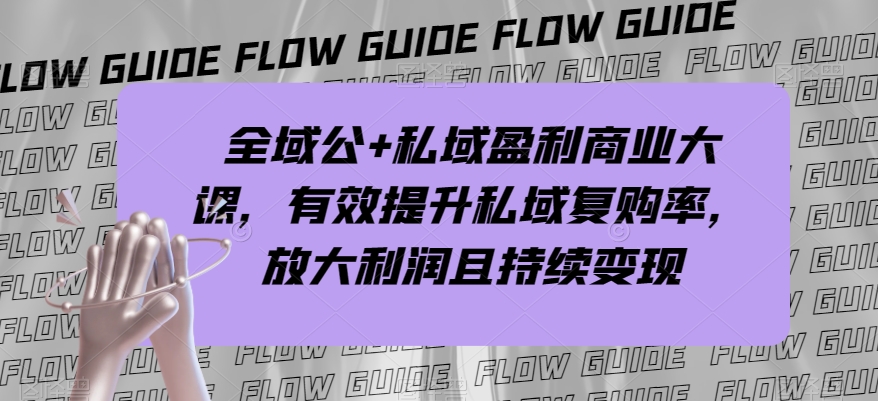 全域公+私域盈利商业大课，有效提升私域复购率，放大利润且持续变现-瀚海资源库