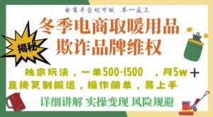 利用电商平台冬季销售取暖用品欺诈行为合理制裁店铺，单日入900+【仅揭秘】-瀚海资源库