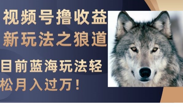 视频号撸收益新玩法之狼道，目前蓝海玩法，轻松月入过万【揭秘】-瀚海资源库