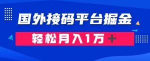 通过国外接码平台掘金：成本1.3，利润10＋，轻松月入1万＋【揭秘】-瀚海资源库