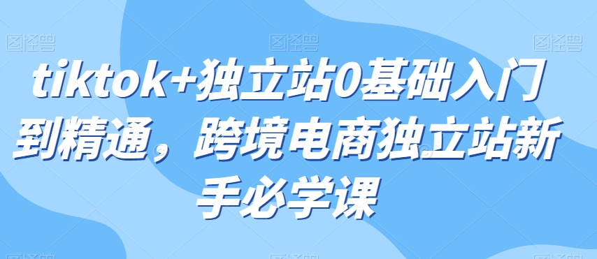 tiktok+独立站0基础入门到精通，跨境电商独立站新手必学课-瀚海资源库